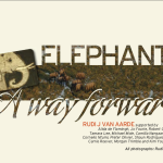 Elephants a Way Forward