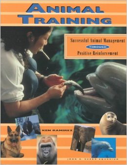 Ken's book