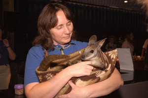 Sue and wallaby2